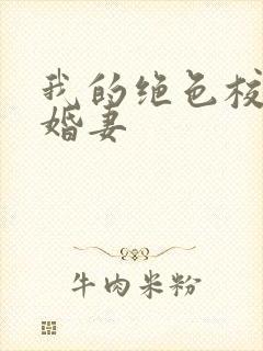 我的绝色校花未婚妻