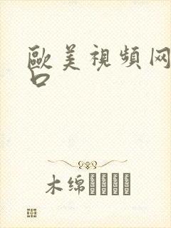 欧美视频网站入口