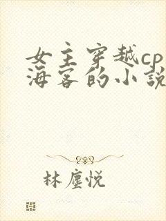 女主穿越cp张海客的小说推荐