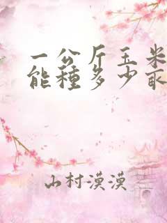 一公斤玉米种子能种多少亩地