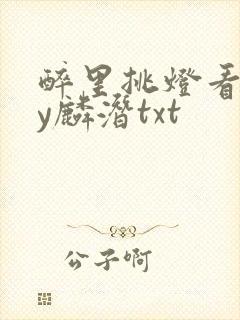 醉里挑灯看你by麟潜txt