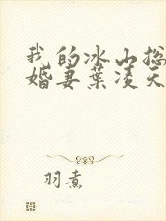 我的冰山总裁未婚妻叶凌天