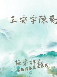 王安宇陈飞宇