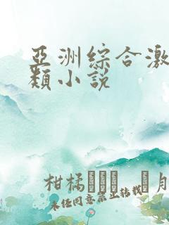 亚洲综合激情另类小说