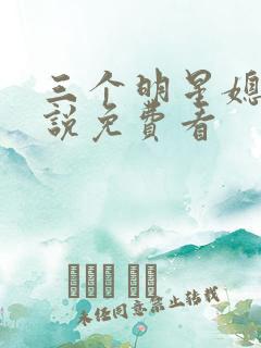 三个明星媳妇小说免费看