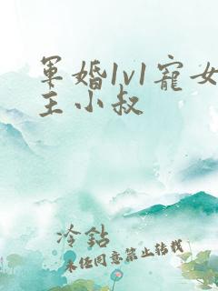 军婚1v1宠女主小叔