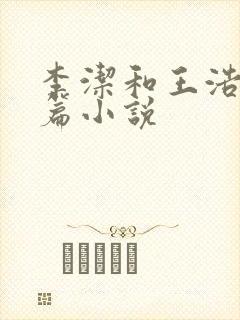 李洁和王浩是哪篇小说