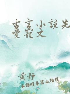 古言小说先婚后爱宠文
