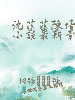 沈菲菲陈倩陈超小说最新章节