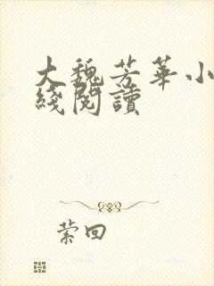 大魏芳华小说在线阅读