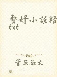 赘婿小说精校版txt