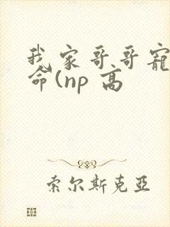 我家哥哥宠妹如命(np 高