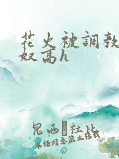 花火被调教成肉奴高h
