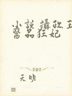 小说 摄政王的医品狂妃