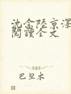 沈念陆京泽免费阅读全文