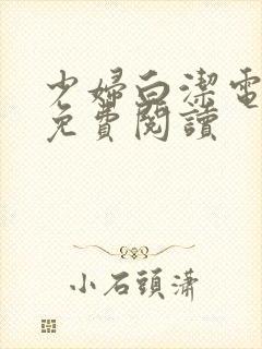 少妇白洁电子书免费阅读