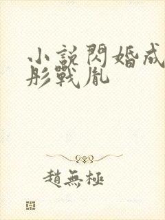 小说闪婚成宠海彤战胤