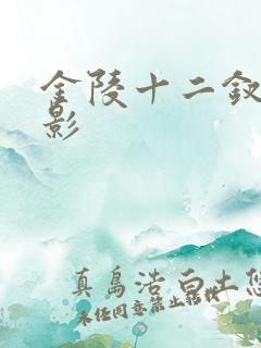 金陵十二钗 电影