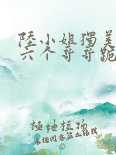 陆小姐独美后,六个哥哥跪求原谅小说