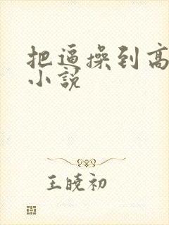 把逼操到高潮的小说