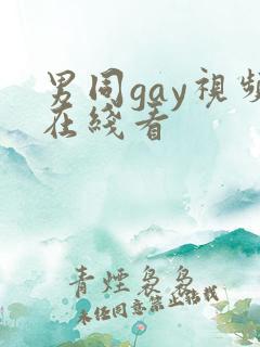 男同gay视频在线看