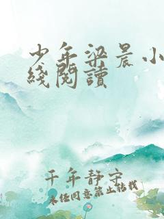 少年梁晨小说在线阅读