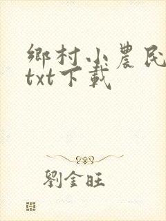 乡村小农民小说txt下载