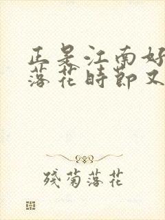 正是江南好风景落花时节又逢君君指的是谁