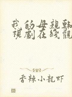 我的母亲韩剧电视剧在线观看免费