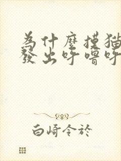 为什么摸猫咪会发出呼噜呼噜的声音