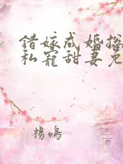 错嫁成婚总裁的私宠甜妻免费阅读