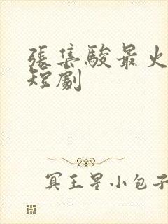 张集骏最火十部短剧
