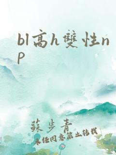 bl高h双性np
