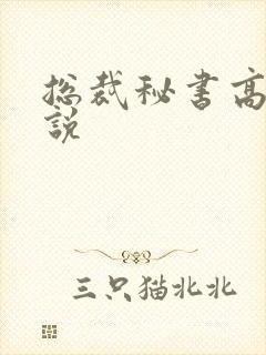 总裁秘书高h小说