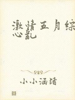 激情五月综合开心乱