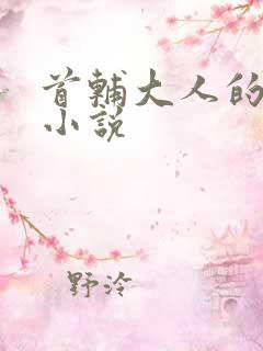 首辅大人的宠妾小说