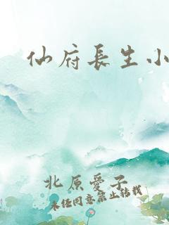 仙府长生小说版