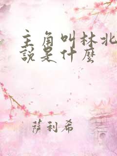 主角叫林北的小说是什么