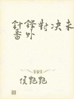 针锋对决未删减番外