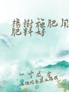 杨树施肥用什么肥料好