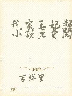 我家王妃超厉害小说免费阅读