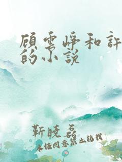 顾云峥和许婉凝的小说