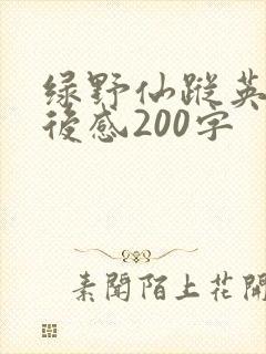 绿野仙踪英文读后感200字