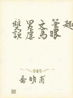 双男文笔趣阁小说虐马眼