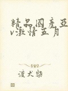 精品国产亚洲av激情五月