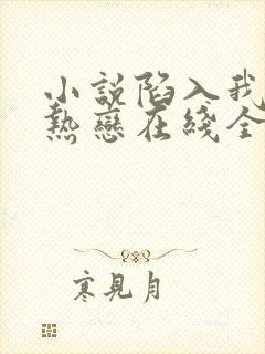 小说陷入我们的热恋在线全文免费阅读