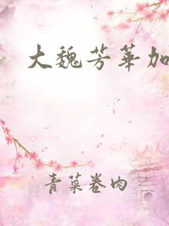大魏芳华加料