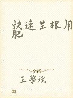 快速生根用什么肥