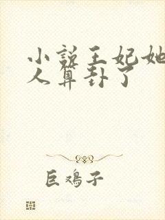 小说王妃她又给人算卦了