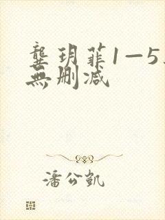 龚玥菲1—5集无删减